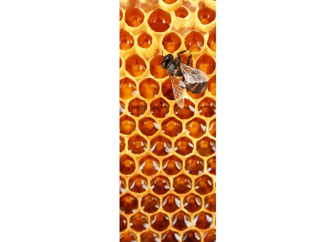 Наклейка на дверь Красивые соты с мёдом и пчела